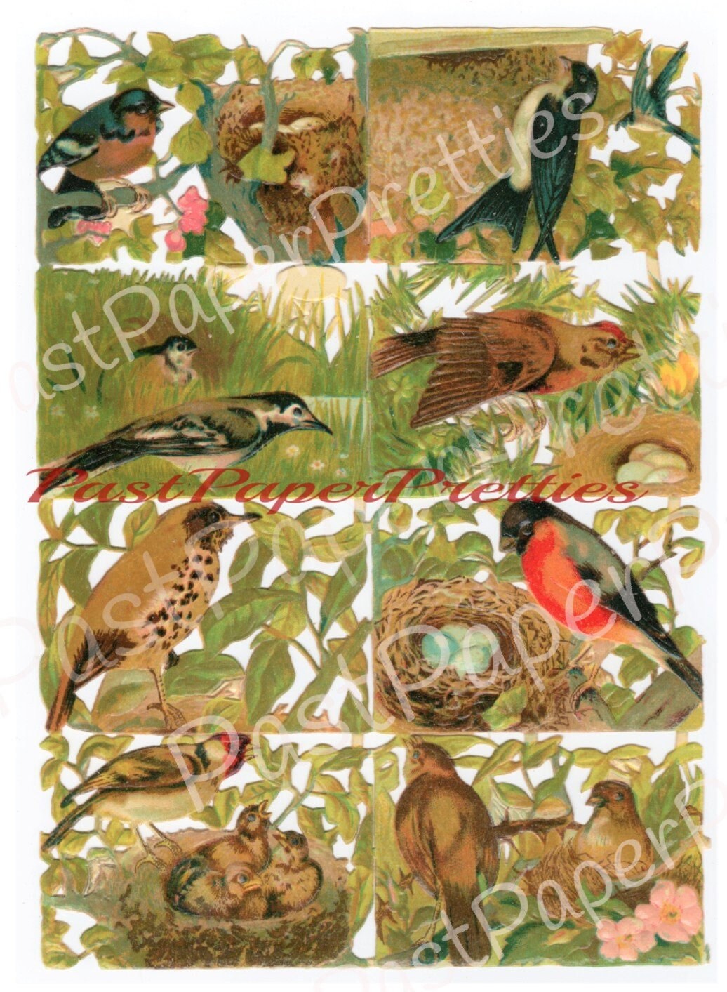 Vintage Antique Victorian Song Birds and Nests Printable Paper Scraps Collage Sheet Instant Digital Download 1880s German Die Cuts 2 Designs