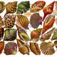 Vintage Antique Victorian Seashells Sea Shells Printable Paper Scraps Collage Sheet Instant Digital Download 1920s German Die Cuts