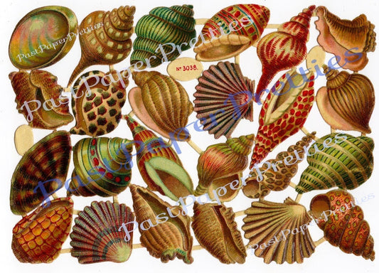 Vintage Antique Victorian Seashells Sea Shells Printable Paper Scraps Collage Sheet Instant Digital Download 1920s German Die Cuts