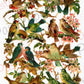 Vintage Antique Victorian Song Birds and Nests Printable Paper Scraps Collage Sheet Instant Digital Download 1880s German Die Cuts 2 Designs