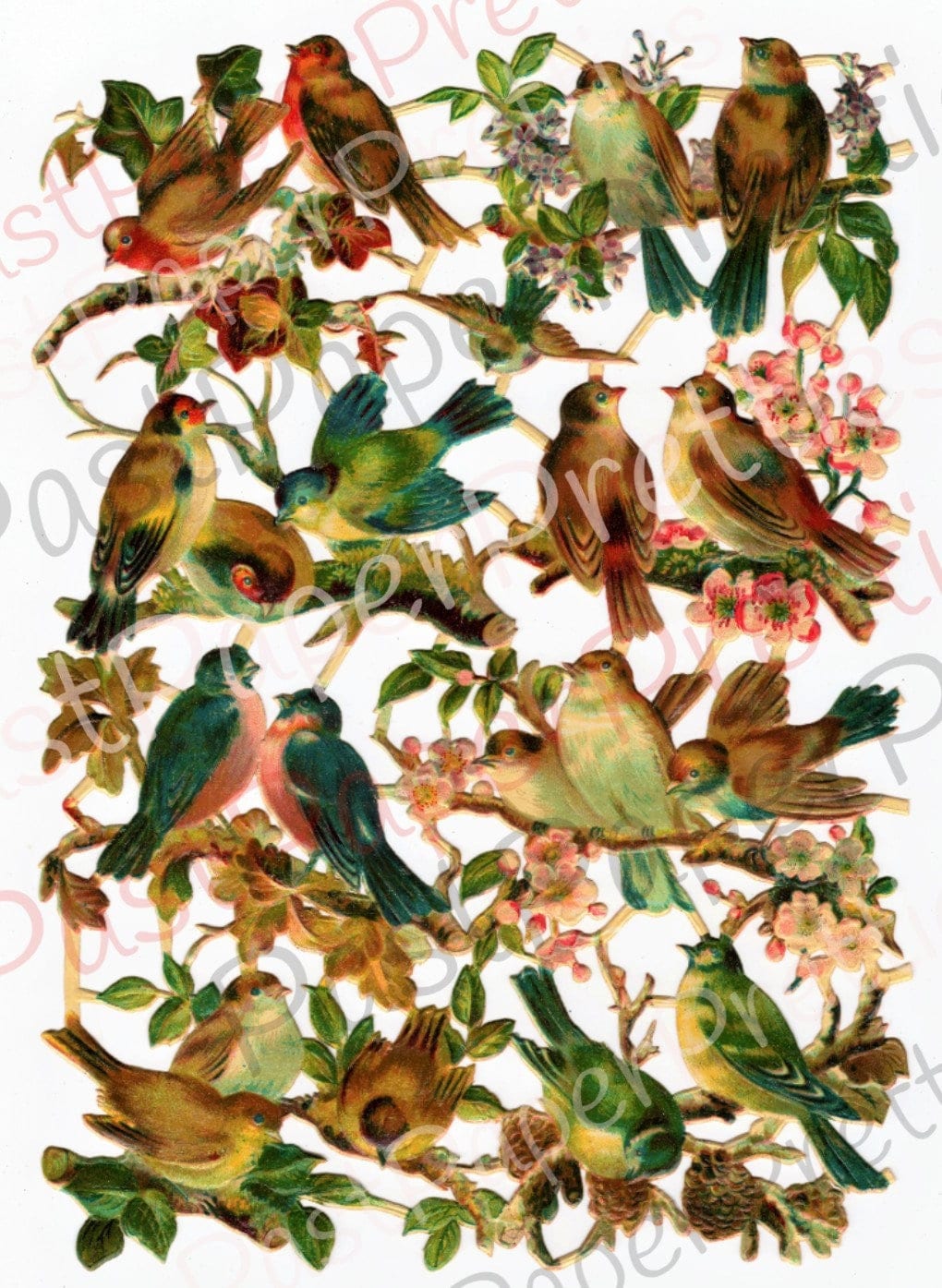 Vintage Antique Victorian Song Birds and Nests Printable Paper Scraps Collage Sheet Instant Digital Download 1880s German Die Cuts 2 Designs