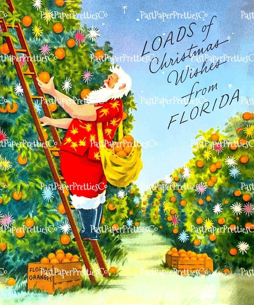 Vintage Printable Florida Christmas Card Images Tropical Holiday Santa Collages & Singles PDF Instant Digital Download MCM Holiday Clipart